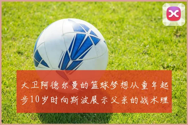 大卫阿德尔曼的篮球梦想从童年起步10岁时向斯波展示父亲的战术理念