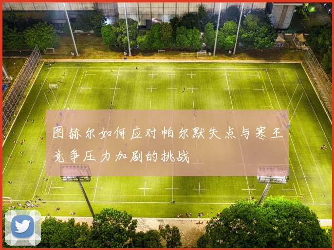 图赫尔如何应对帕尔默失点与寒王竞争压力加剧的挑战
