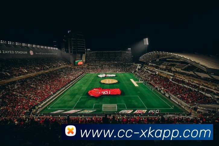 星空体育APP 封面图